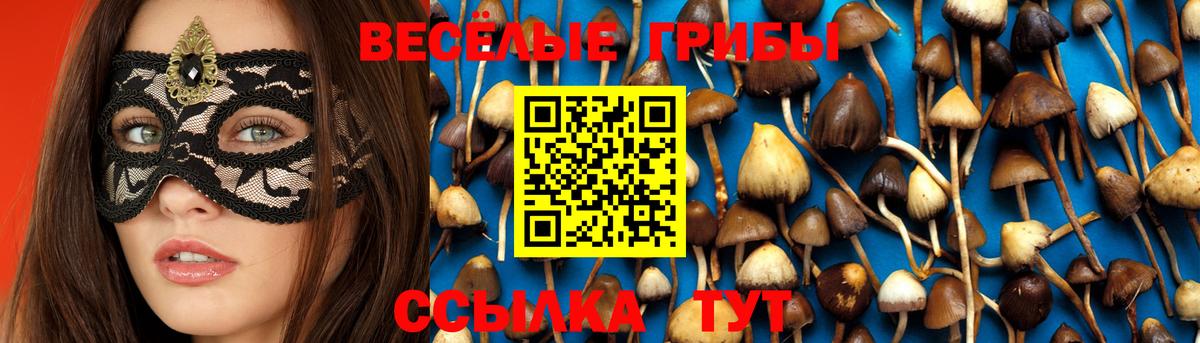 Галлюциногенные грибы ЛСД Вязьма