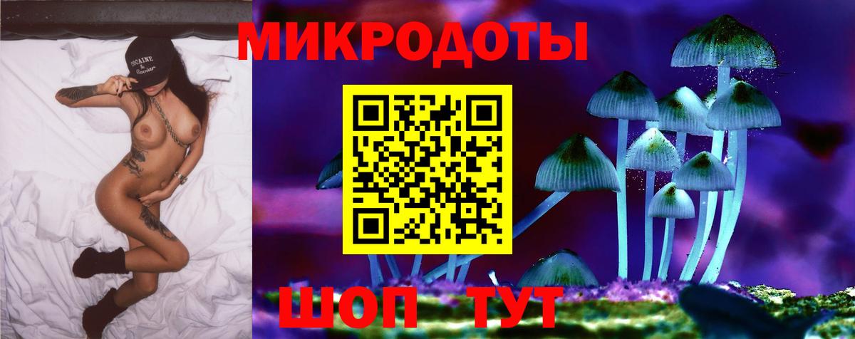 Вязьма  Галлюциногенные грибы Psilocybe  Вход с VPN 